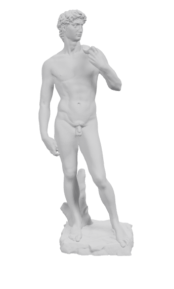 Michelangelo's David